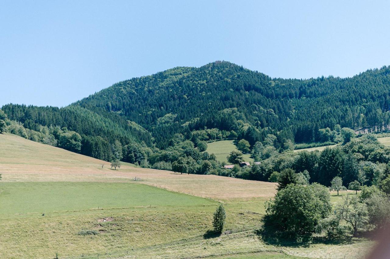 Moderne 2 Zi.Fewo Blackforest Art Naehe Freiburg Simonswald Eksteriør bilde